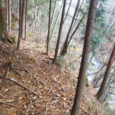 201117_p14.jpg