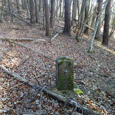 201220_p19.jpg