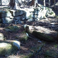210223_p37.jpg