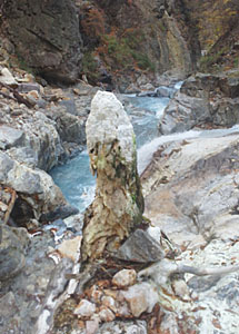 kawamura01-2.jpg