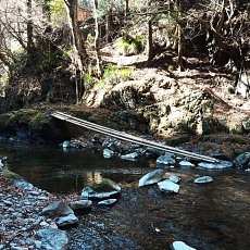 230304_p17.JPG