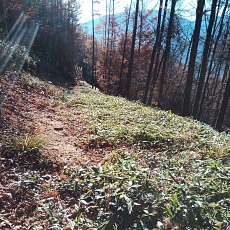 221112_p18.jpg