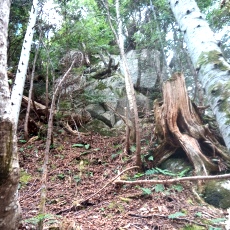 221028_p40.jpg