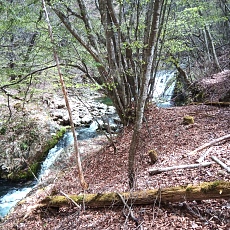 230502_p47.jpg