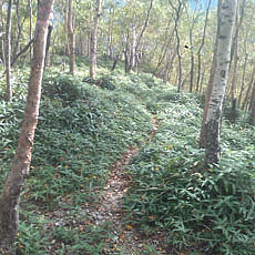 130914_p20.jpg