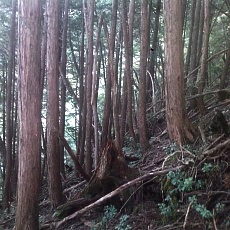 140913_p19.jpg