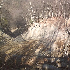 150330_p21.jpg