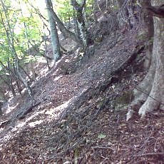 150711_p11.jpg