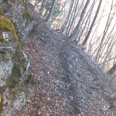 160329_p08.jpg