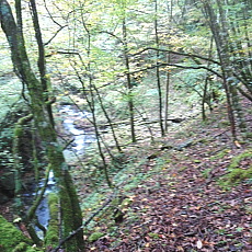 181006_p03.jpg