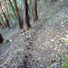 181006_p24.jpg