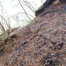 190505_p04.jpg