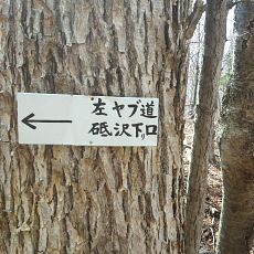 190505_p39.jpg