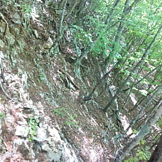 190518_p33.jpg