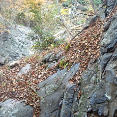 191104_p33.jpg