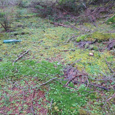210916_p18.jpg