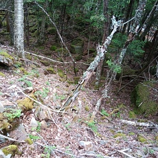 220618_p56.jpg