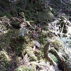 220528_p38.jpg