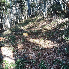 221112_p22.jpg