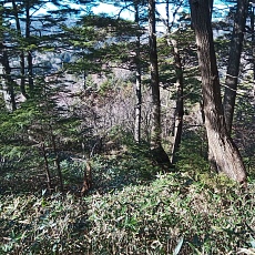 221112_p46.jpg
