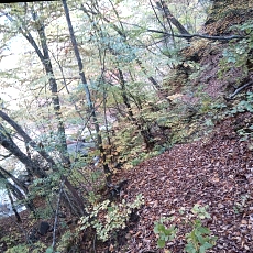 231030_p45.jpg