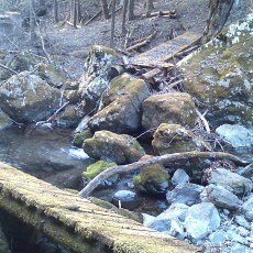 110406_p03.jpg