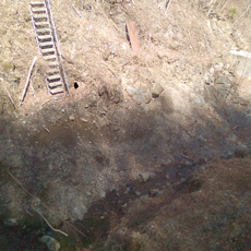 130316_p04.jpg