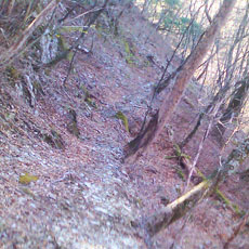 130428_p02.jpg