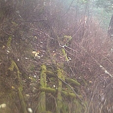 131006_p09.jpg