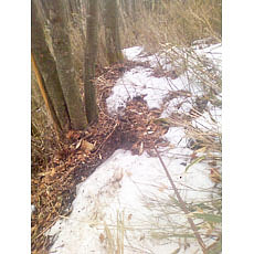 140419_p19.jpg
