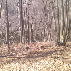 150330_p18.jpg