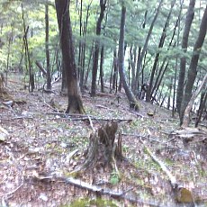 150523_p09.jpg