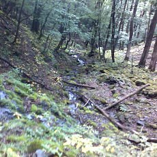 150704_p06.jpg