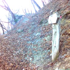 160109_n01.jpg