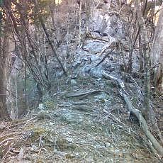 160109_p19.jpg