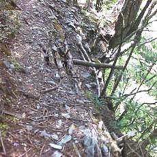 160603_p10.jpg