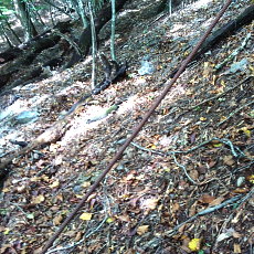160925_p07.jpg