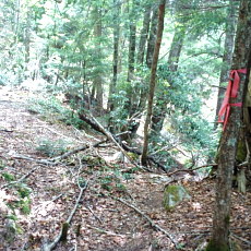 170617_p22.jpg