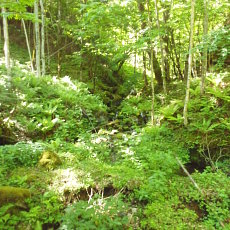 180603_p01.jpg