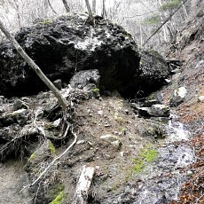 190427_p06.jpg