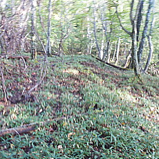 191005_p02.jpg