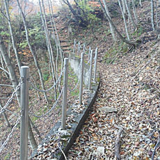 191104_p41.jpg
