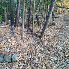 201206_p07.jpg