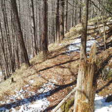 210315_p24.jpg