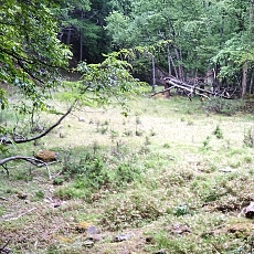 220618_p54.jpg