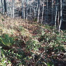 221112_p14.jpg