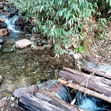240530_p20.jpg