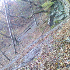 121110_p04.jpg