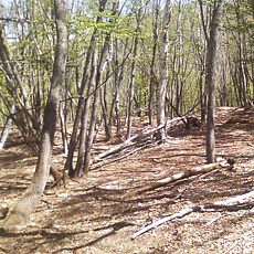 130517_p23.jpg