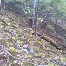 141004_p27.jpg